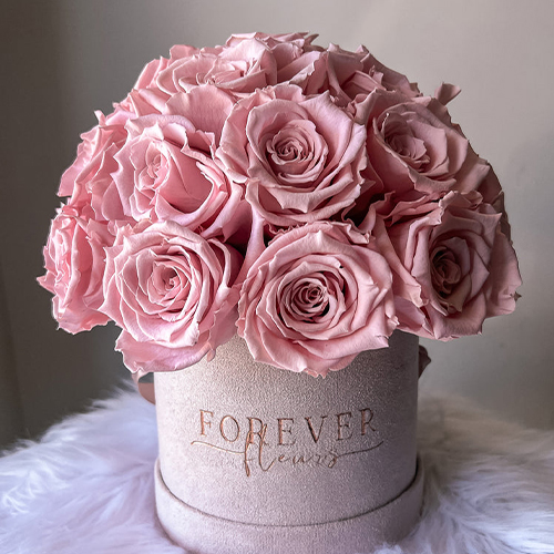 Mini Banner Position 5