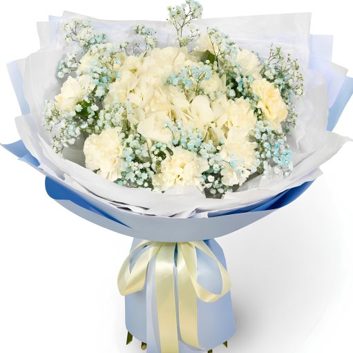 17 Beyaz Karanfil Ve  Cipso Buketi