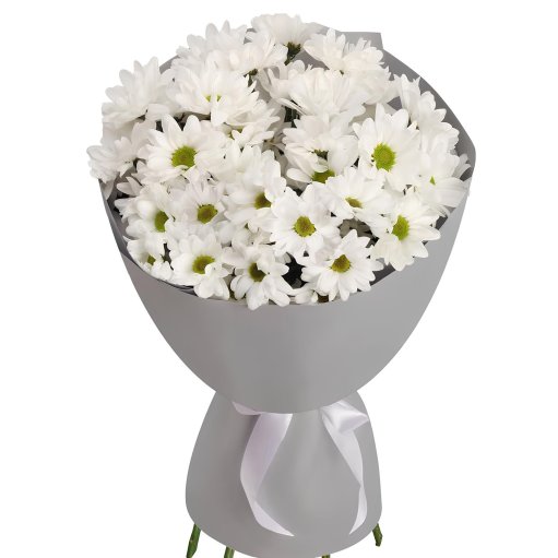 Büyük Papatya Buketi