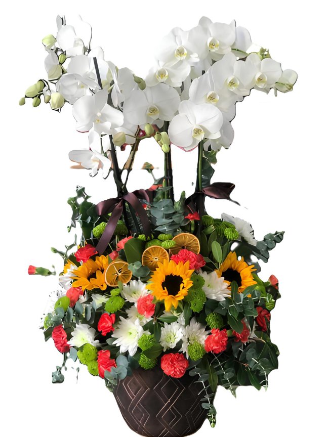 Zarif  Beyaz Orkide Aranjmanı