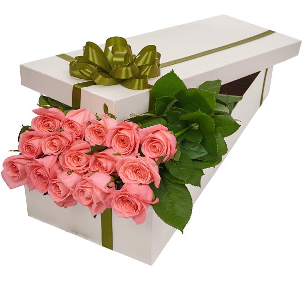 Kutuda 15 Pembe Gül